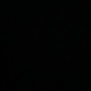 Meet your Posher, Adelaide